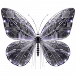 Project Rebirth Logo